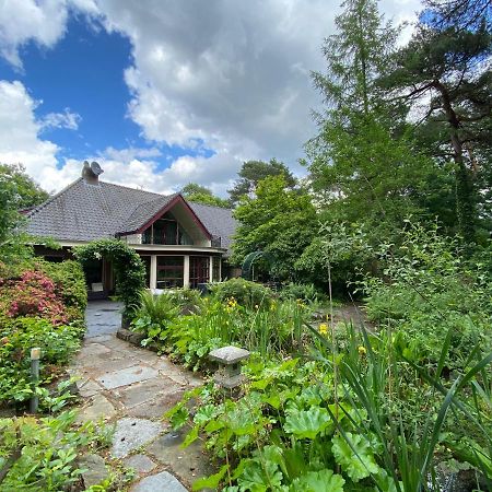 Sjieke Gezellige Villa In Het Bos Lieshout 외부 사진