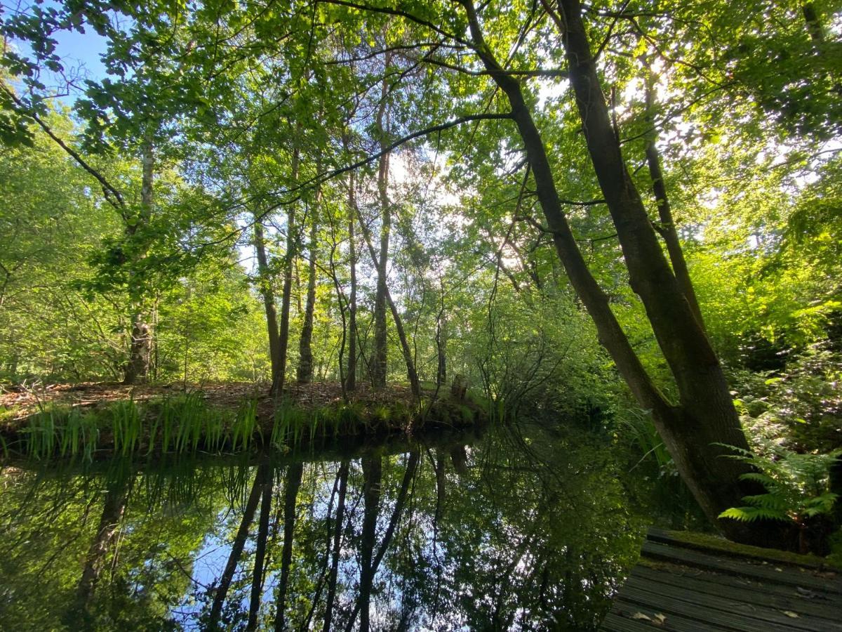 Sjieke Gezellige Villa In Het Bos Lieshout 외부 사진