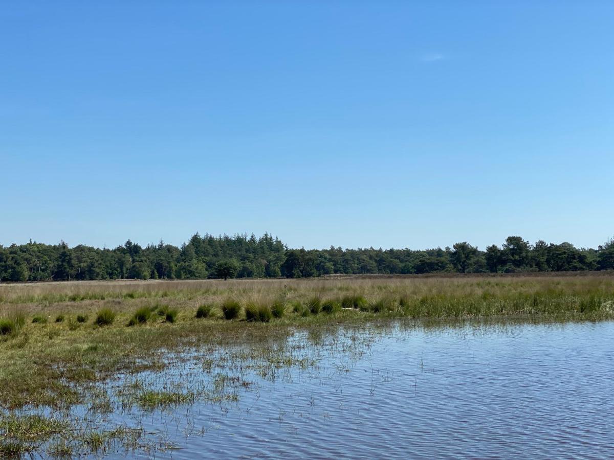 Sjieke Gezellige Villa In Het Bos Lieshout 외부 사진