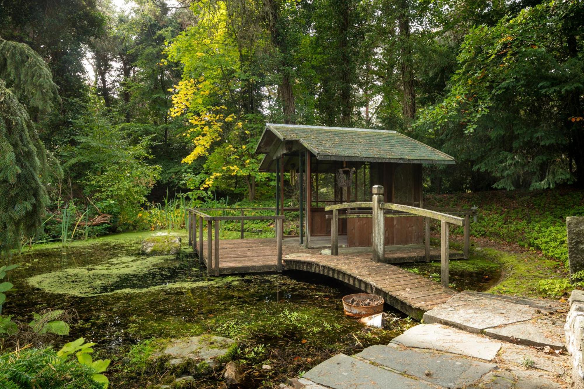 Sjieke Gezellige Villa In Het Bos Lieshout 외부 사진